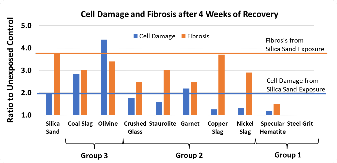A graph that shows the relationship between cell damage and fibrosis in relation to blast media types