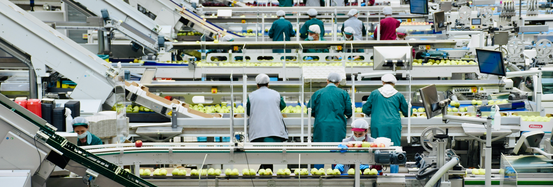 Workers sift through apples on a conveyor belt in a food processing plant